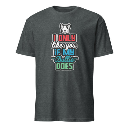Product mockup of dark grey t-shirt with a humorous dog-themed text design "I only like you if my Bully does"