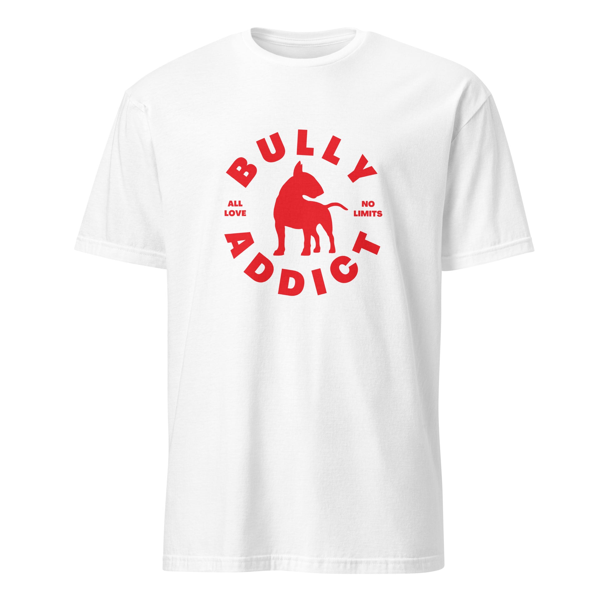 Product mockup - white t-shirt with red graphic and text Bully Addict 